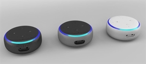 eBookReader Amazon Echo Dot